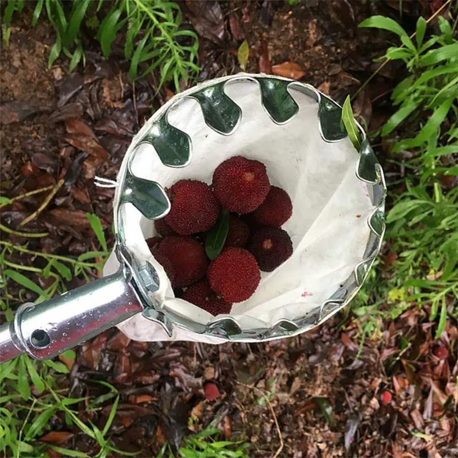 Gardening Tools Wholesale - 3-in-1 Fruit Harvesting Tool Set for