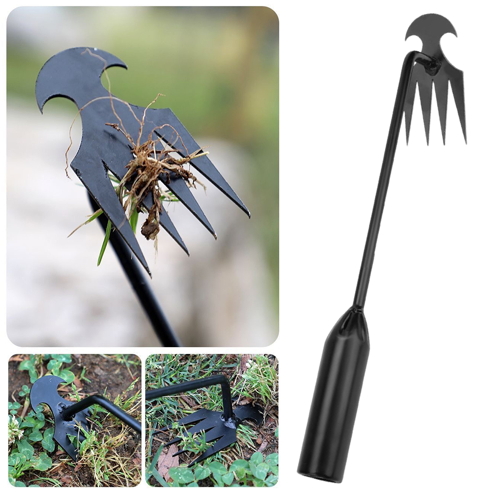 Grass Seed Spreader - Garden Hoe Tool 2 in 1