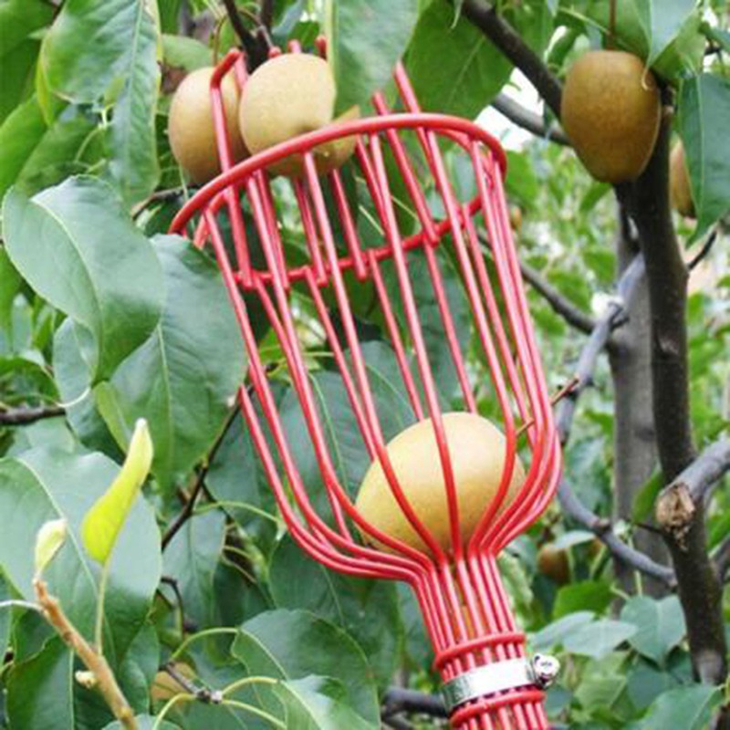 Gardening Tools Basket - Deep Basket Fruit Picker Head Portable