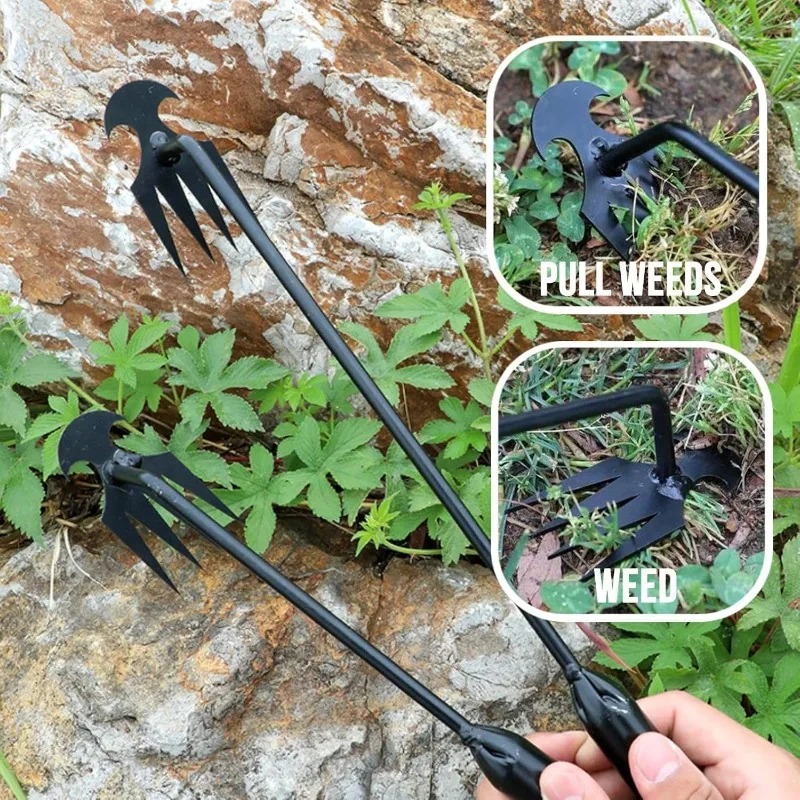 2 in 1 Garden Rake Manual Seed - đánh giá và giá Gardening Tools To Remove Grass