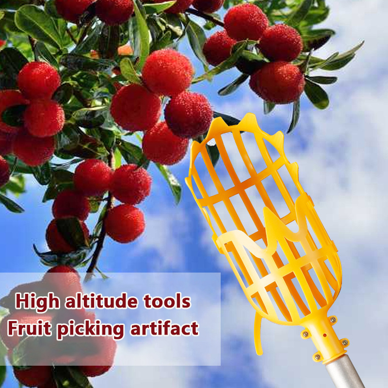 Picking Loquat Picking Bayberr - đánh giá và giá Gardening Tools Basket