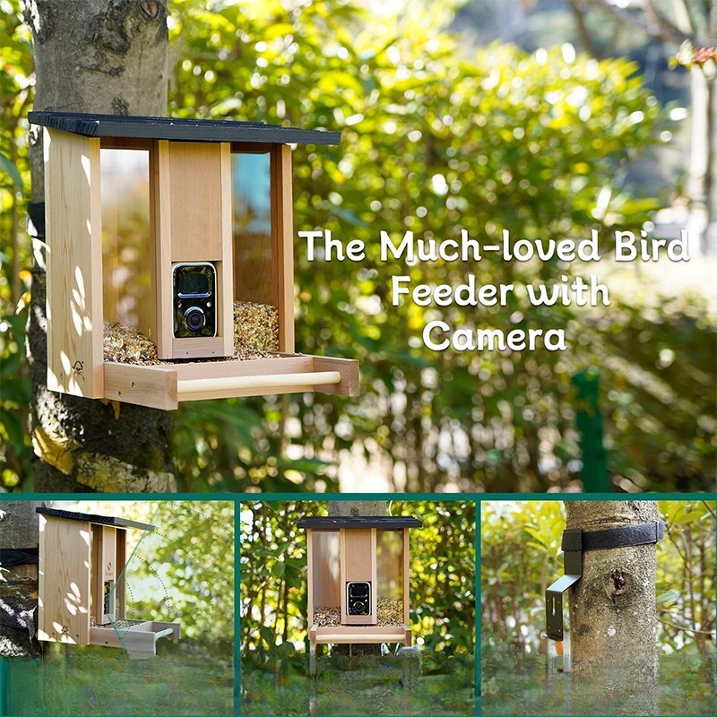 AI intelligent bird feeder wit - đánh giá và giá Gardening Tools Definition