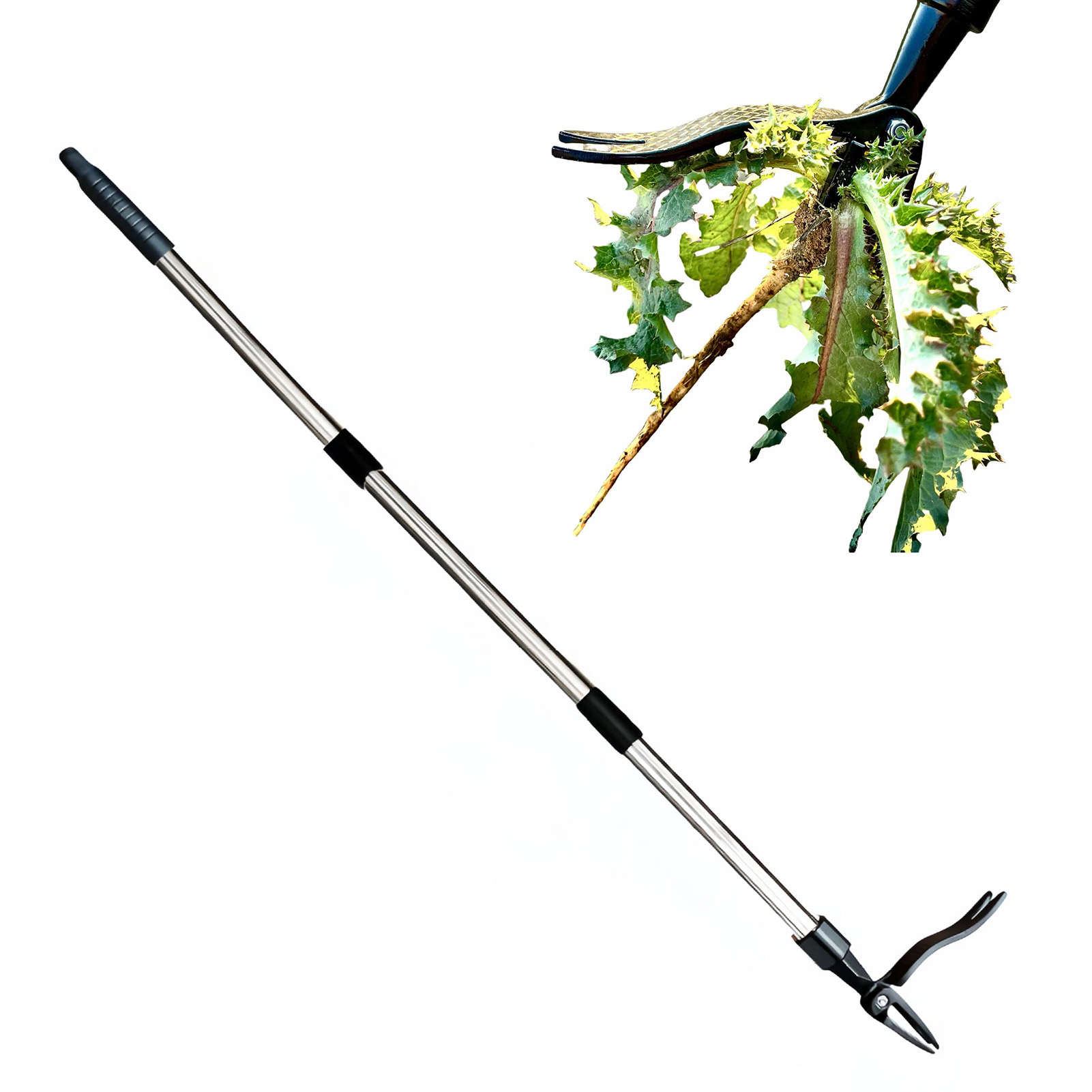 4 Claw Stand Up Weed Puller St - đánh giá và giá Grass Seed Spreader