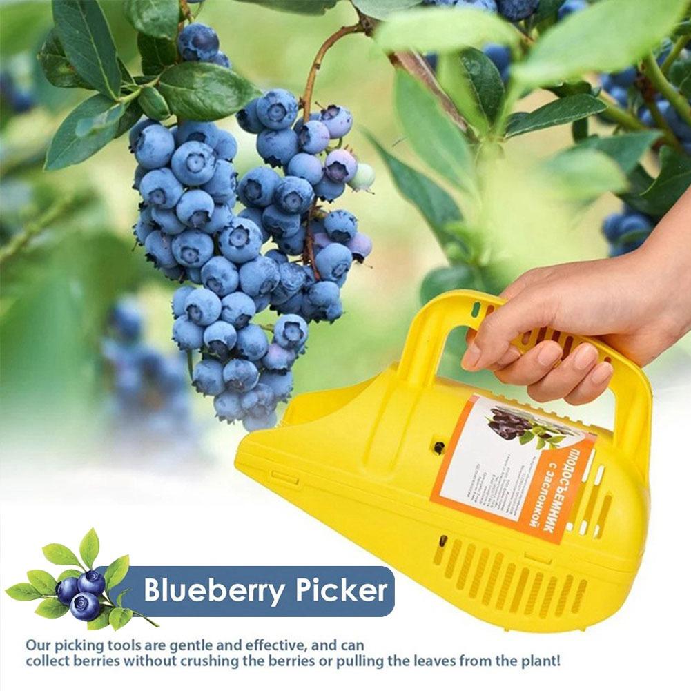 Blueberry Picker Rake | Effici - đánh giá và giá Gardening Tools Basket