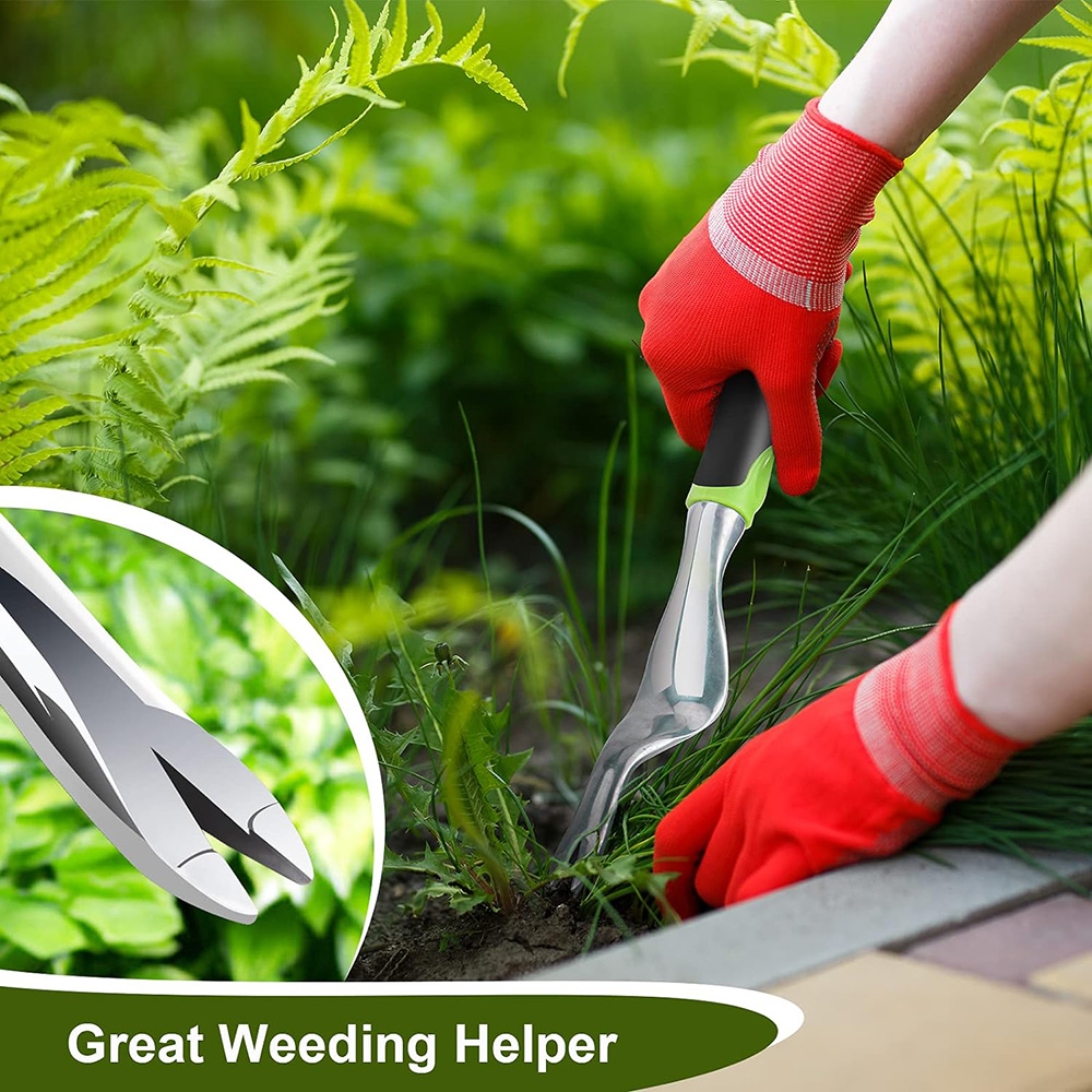 Hand Weeder Tool Weed Puller T - đánh giá và giá Grass Seed Spreader