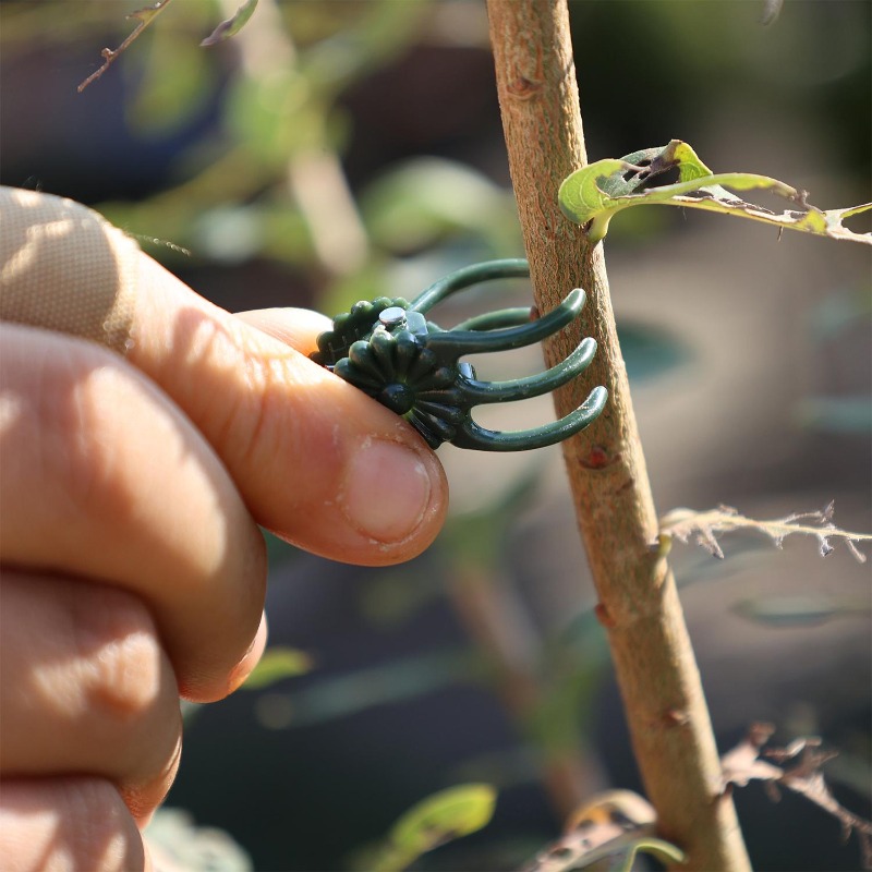 Wholesale Mini Plant Support C - đánh giá và giá Gardening Tools Wholesale