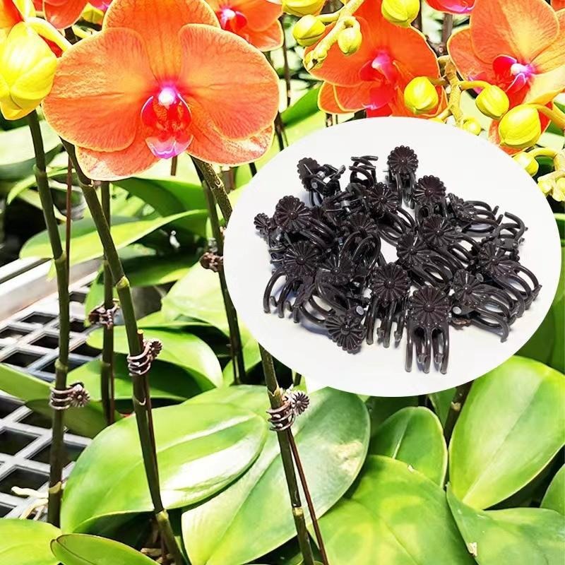 Wholesale Mini Plant Support C - đánh giá và giá Gardening Tools Wholesale