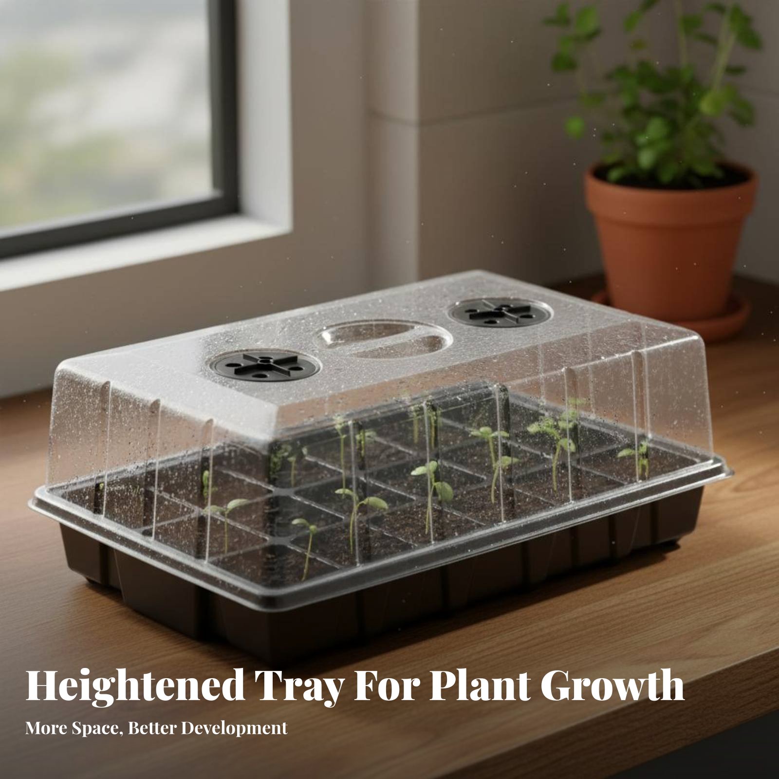 24 Compartment Nursery Tray Tr - đánh giá và giá Propagation Tray Dome