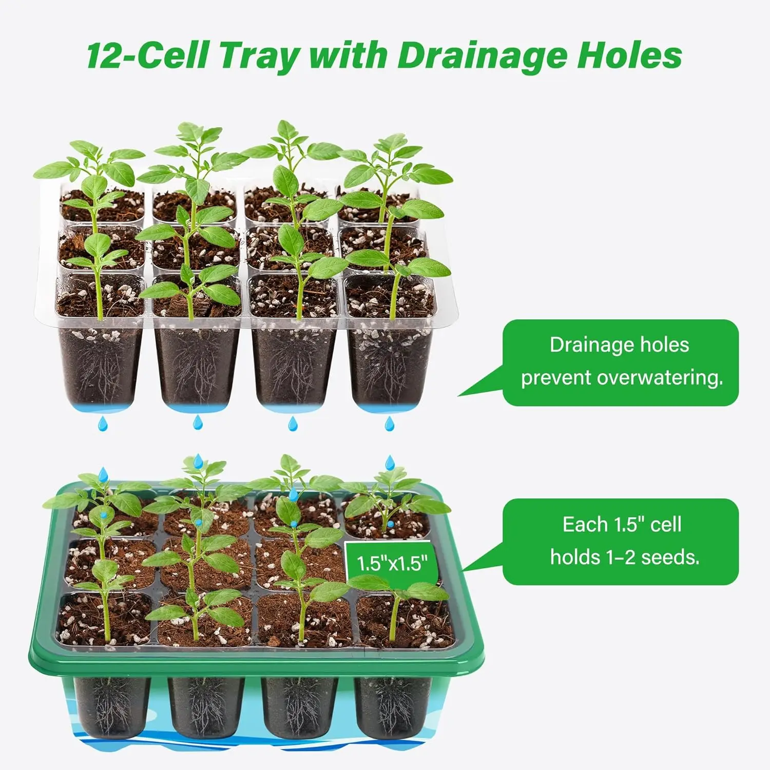 6/12 Grids Growing Starting Nu - đánh giá và giá Propagation Tray Dome
