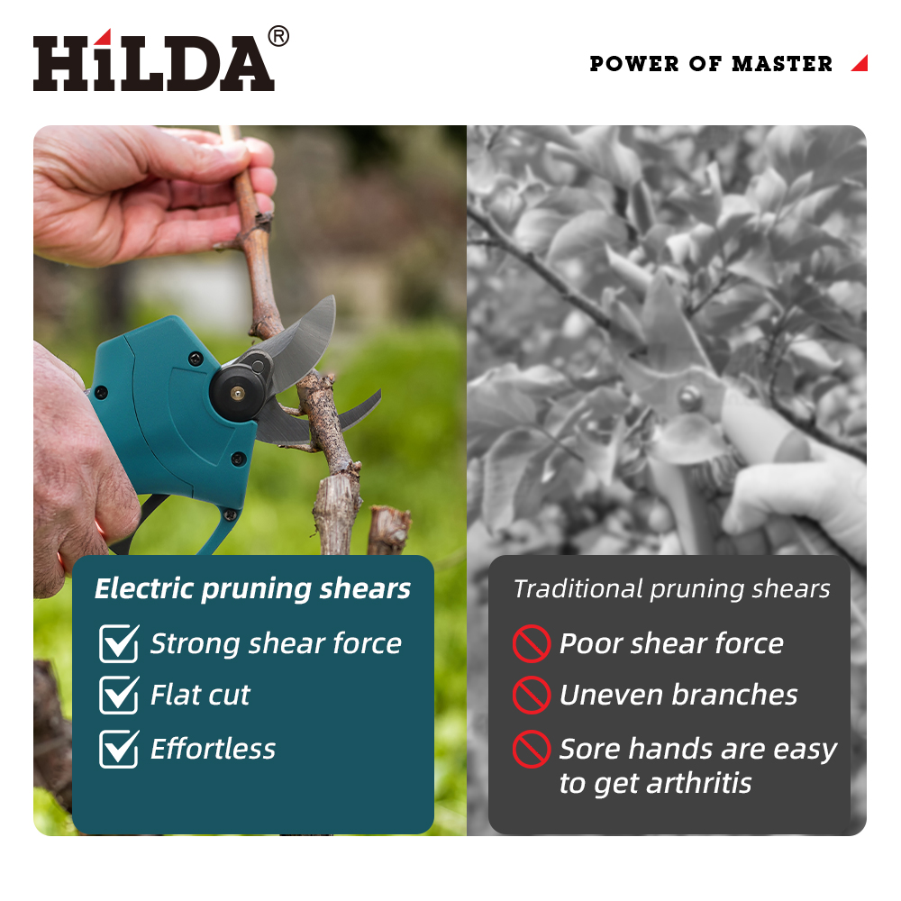 HILDA 18V Brushless Cordless E - đánh giá và giá Gardening Tools Wholesale