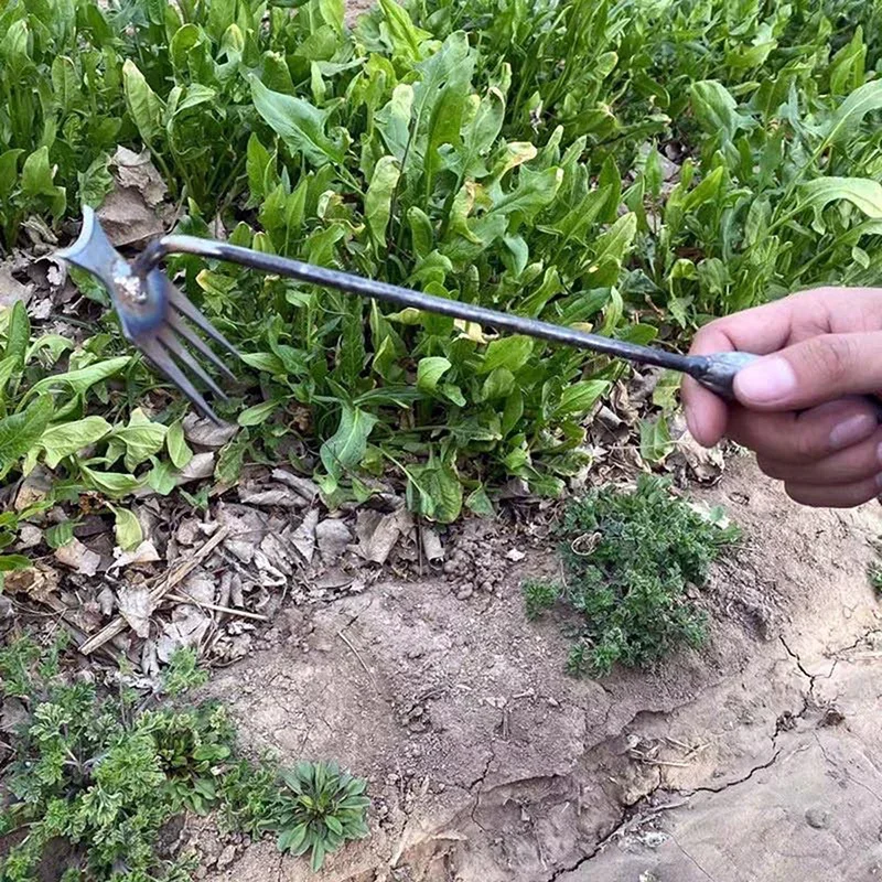 Garden Weeders Grass Hand Weed - đánh giá và giá Gardening Tools To Remove Grass