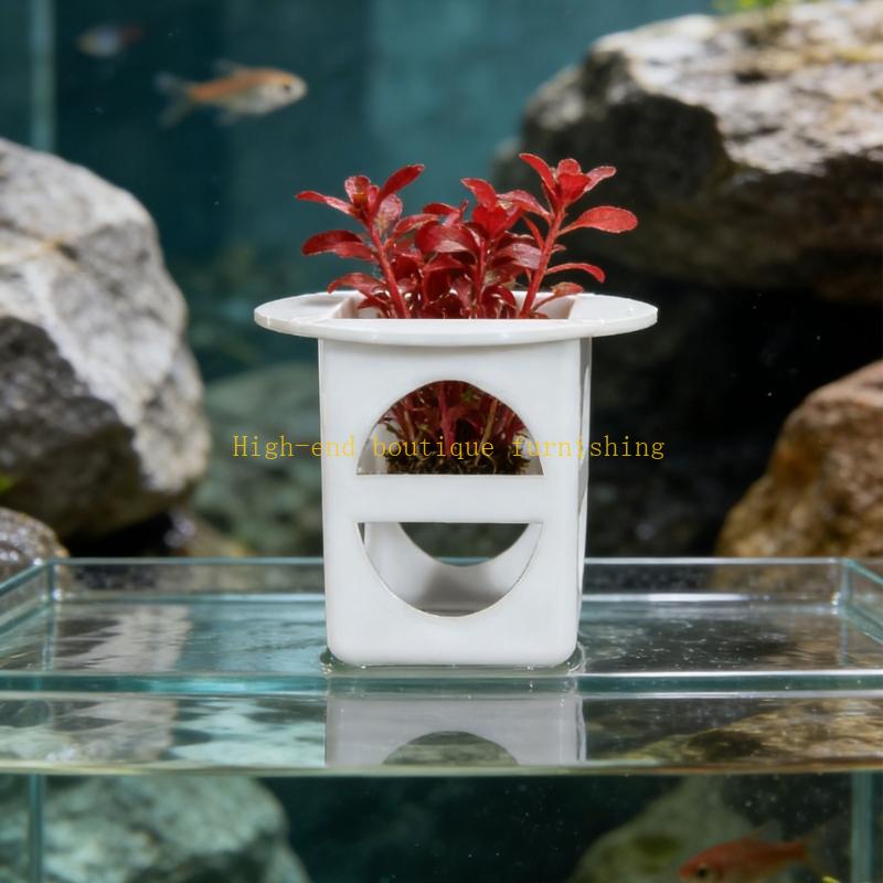 L9NB 12 gói Khay nhân giống câ - đánh giá và giá Propagation Tray Dome