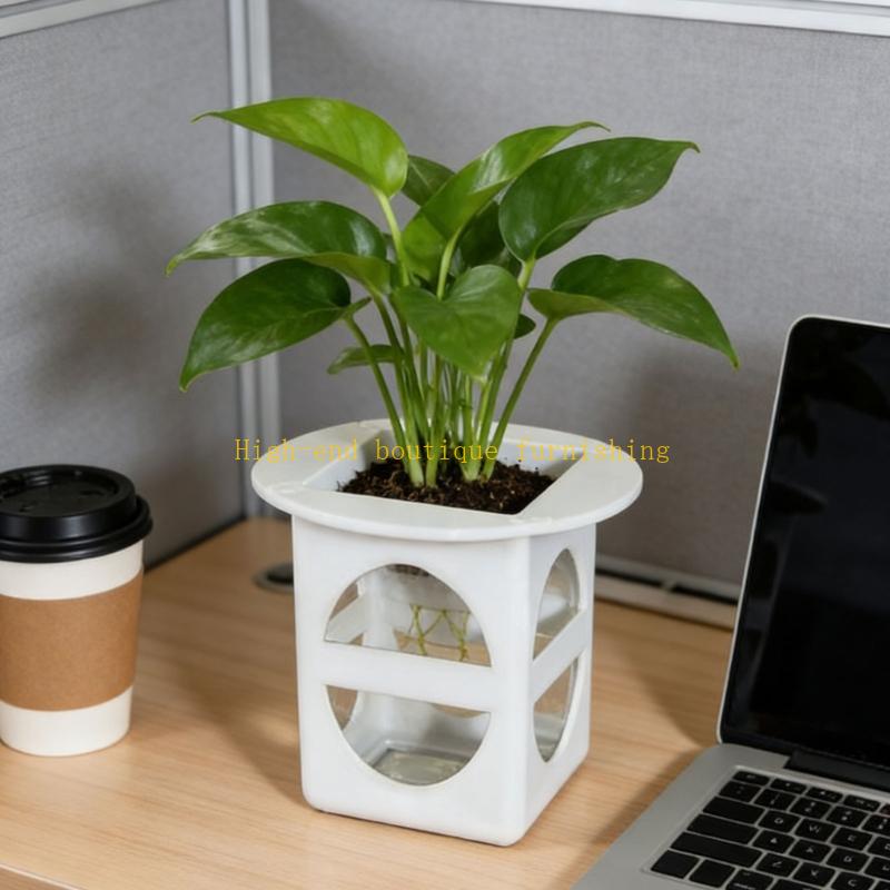 L9NB 12 gói Khay nhân giống câ - đánh giá và giá Propagation Tray Dome