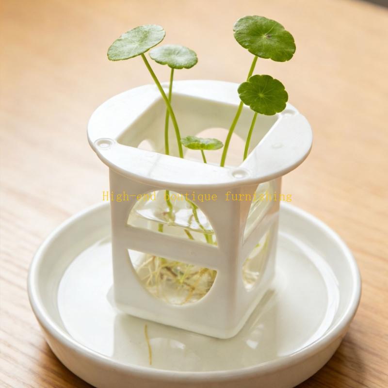 L9NB 12 gói Khay nhân giống câ - đánh giá và giá Propagation Tray Dome