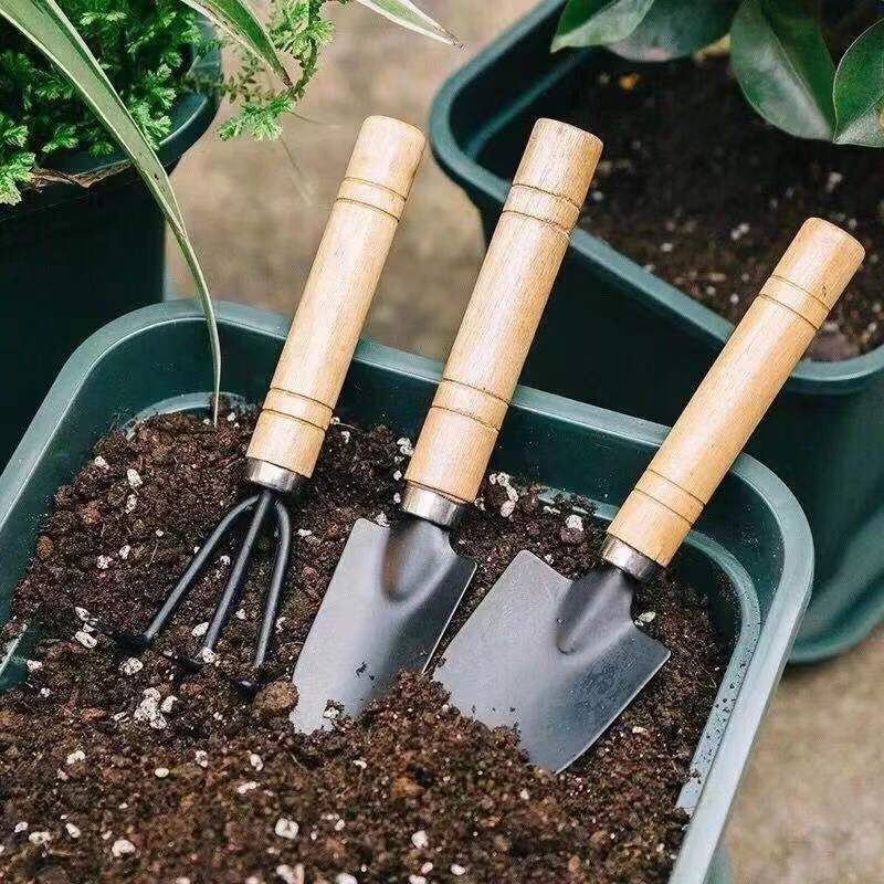 3PC/1Set Mini Gardening Tools  - đánh giá và giá Gardening Tools Wholesale