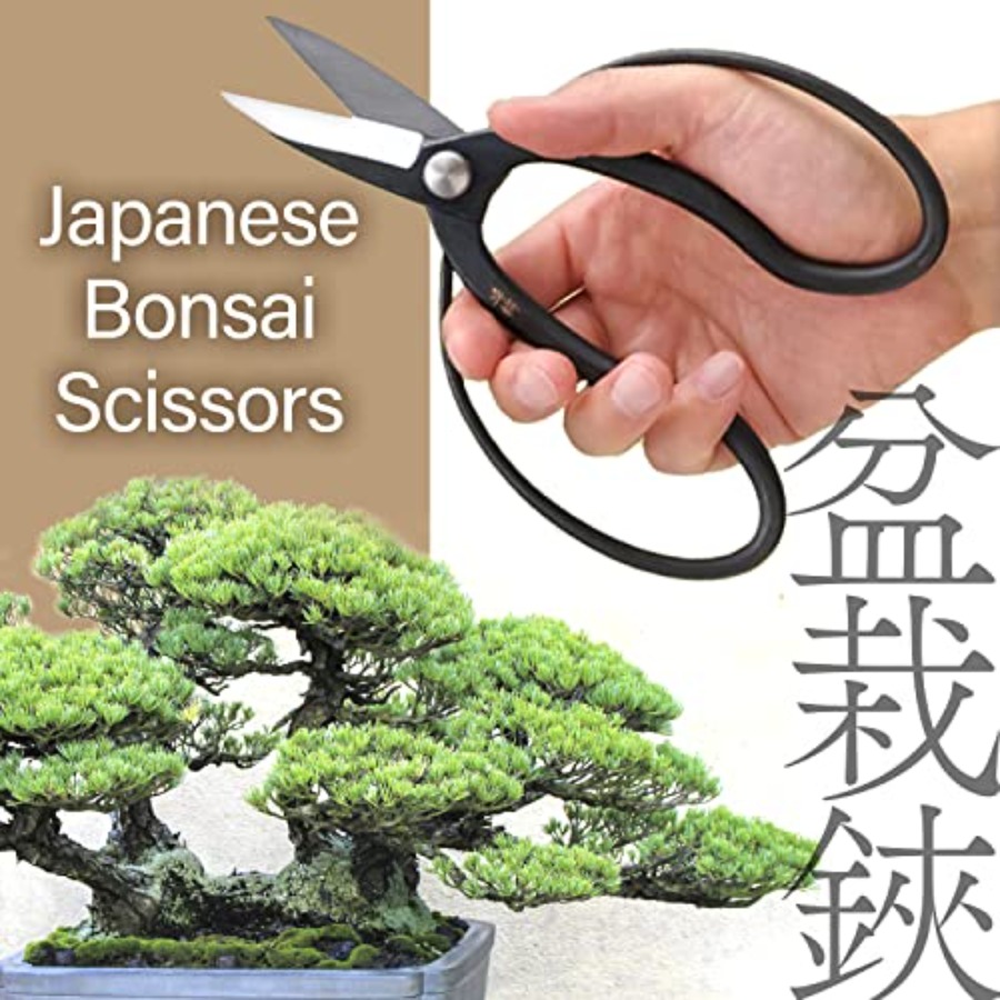 Japanese Suiryu Bonsai Scissor - đánh giá và giá Gardening Tools Made In Japan