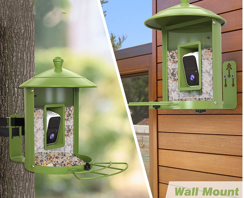 AI intelligent bird feeder wit - đánh giá và giá Gardening Tools Definition