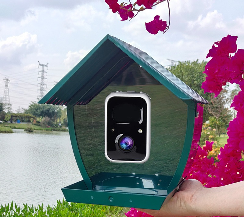AI intelligent bird feeder wit - đánh giá và giá Gardening Tools Definition