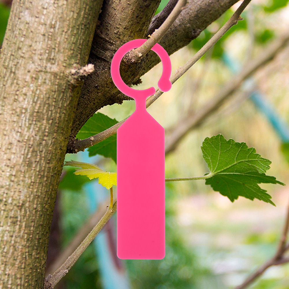 100Pcs Garden Hanging Plant Ta - đánh giá và giá Gardening Tools Names