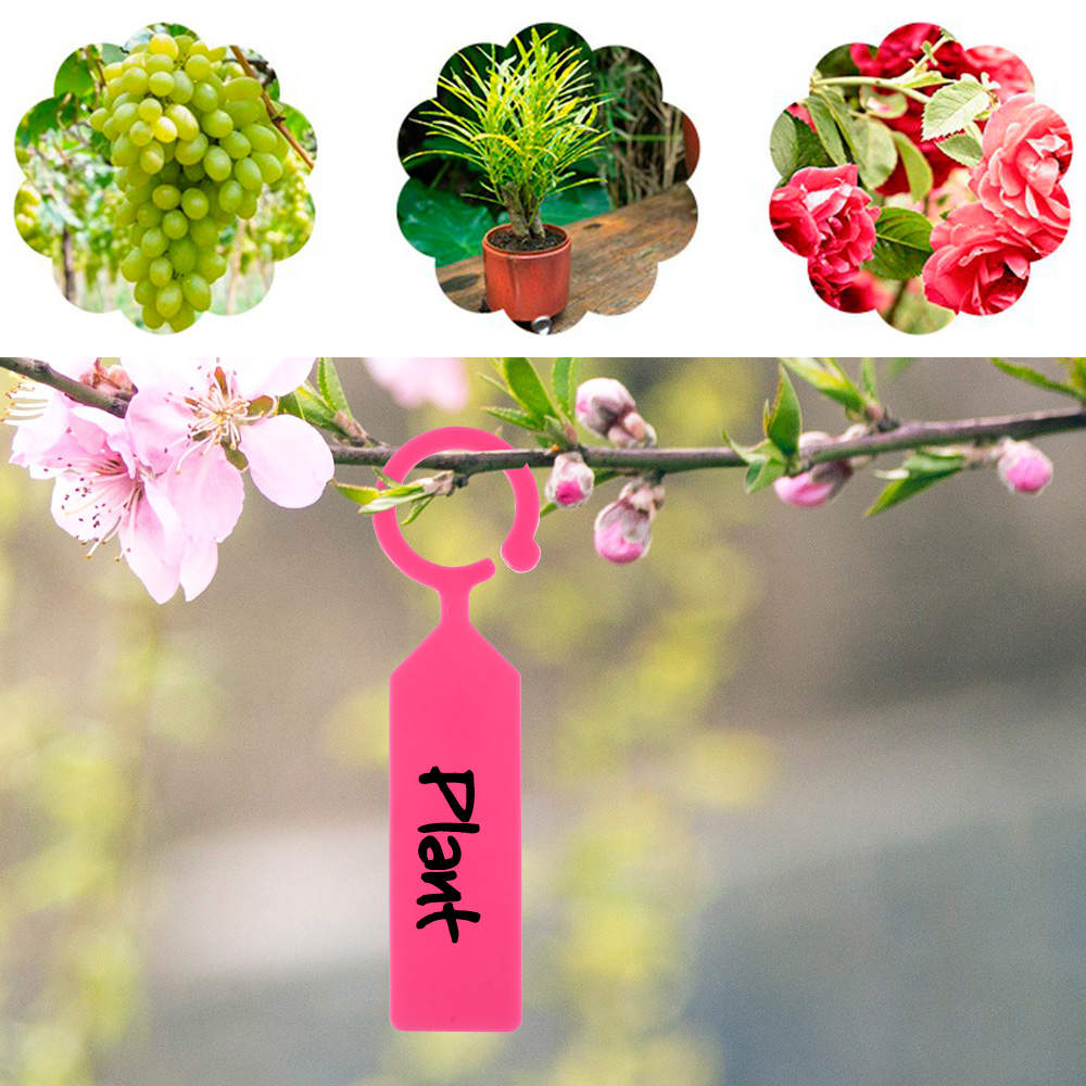 100Pcs Garden Hanging Plant Ta - đánh giá và giá Gardening Tools Names