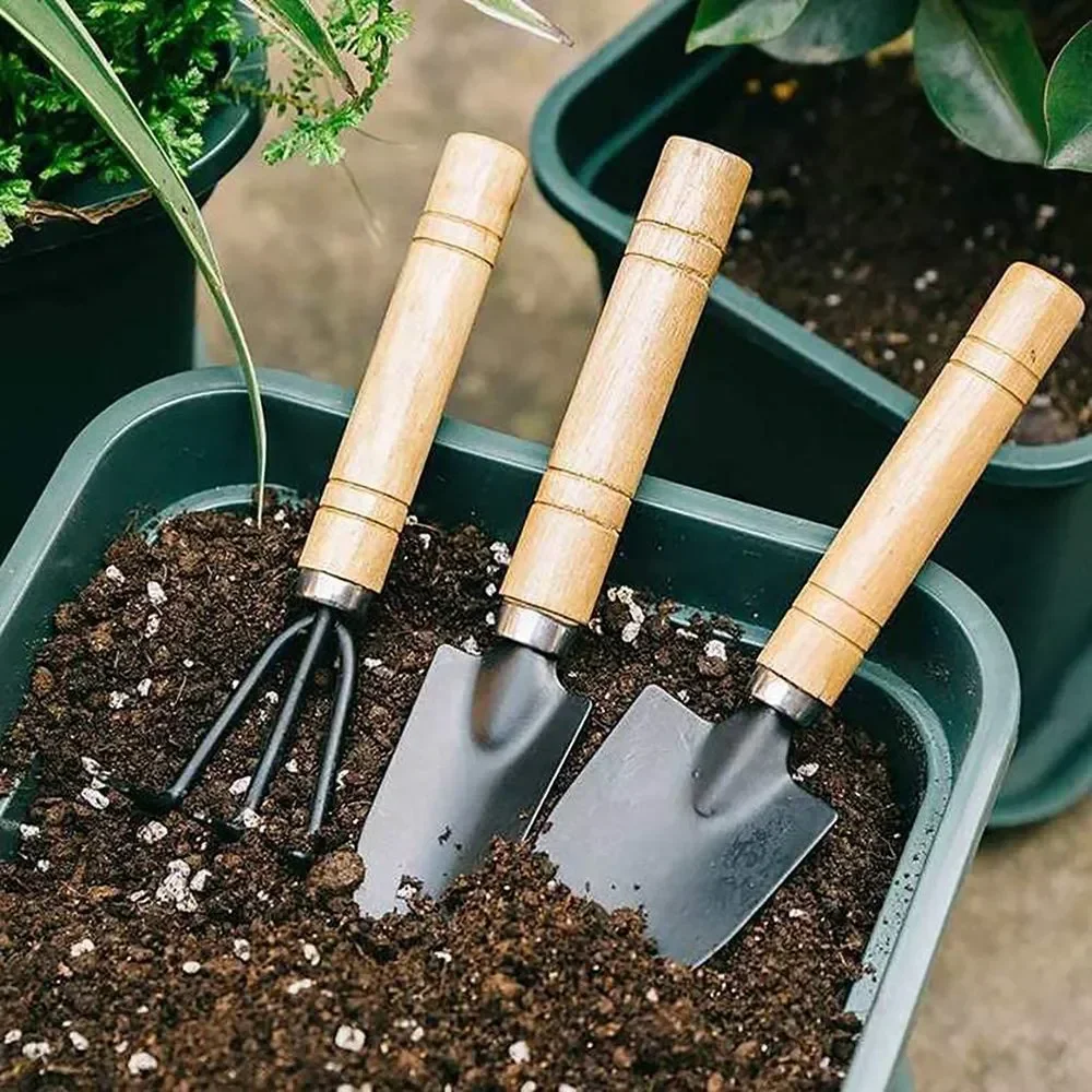 3Pcs/Set Mini Garden Tool Set  - đánh giá và giá Gardening Tools Wholesale