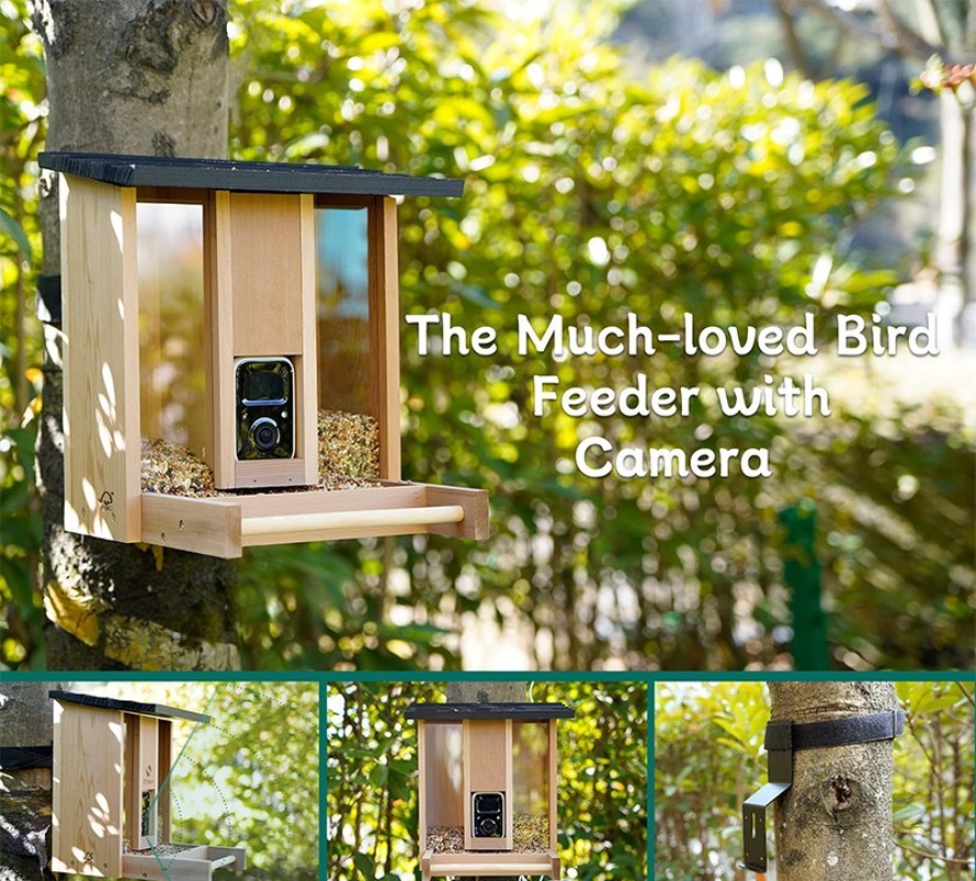 AI intelligent bird feeder wit - đánh giá và giá Gardening Tools Definition