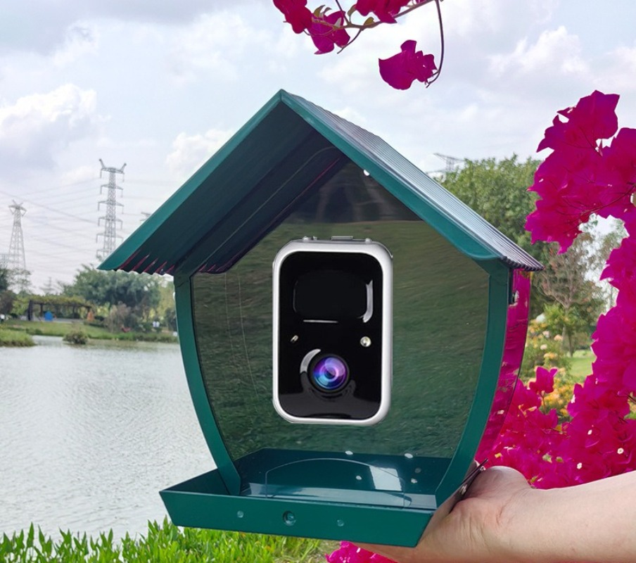 AI intelligent bird feeder wit - đánh giá và giá Gardening Tools Definition