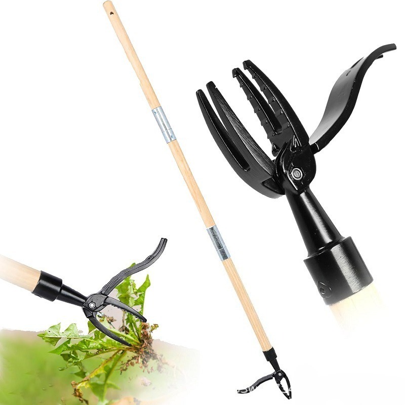 Standing Weed Puller Tool - Ad - đánh giá và giá Grass Seed Spreader