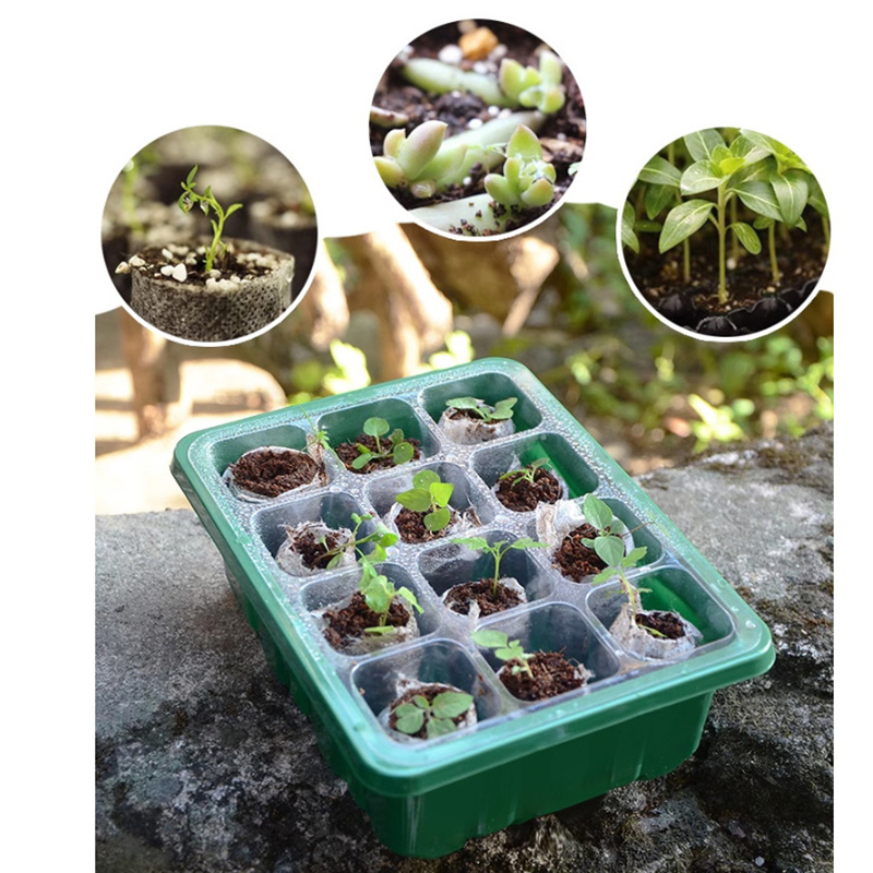 6/12 Holes Seed Starter Tray W - đánh giá và giá Propagation Tray Dome