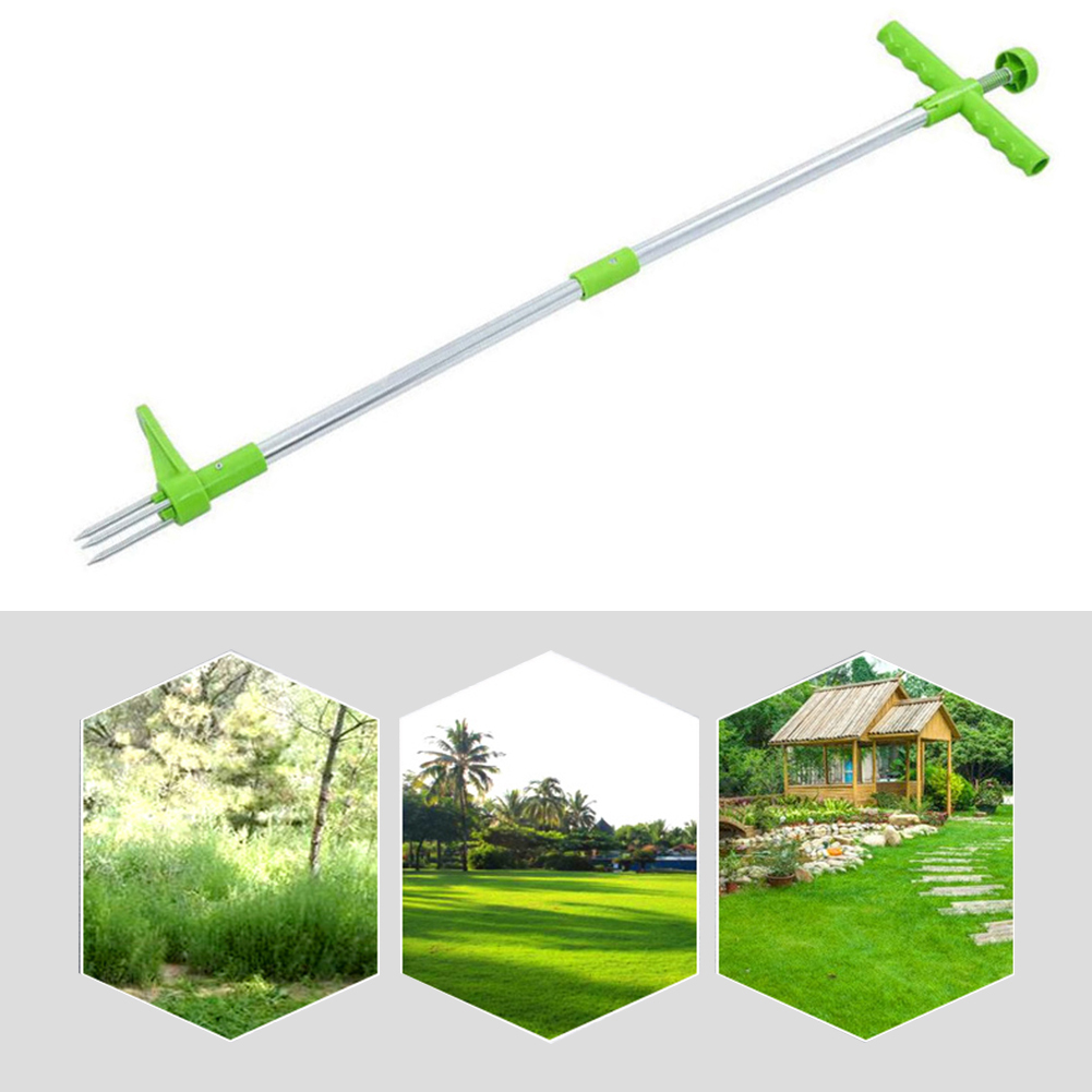 Easily Carrying Remover Grass  - đánh giá và giá Gardening Tools To Remove Grass