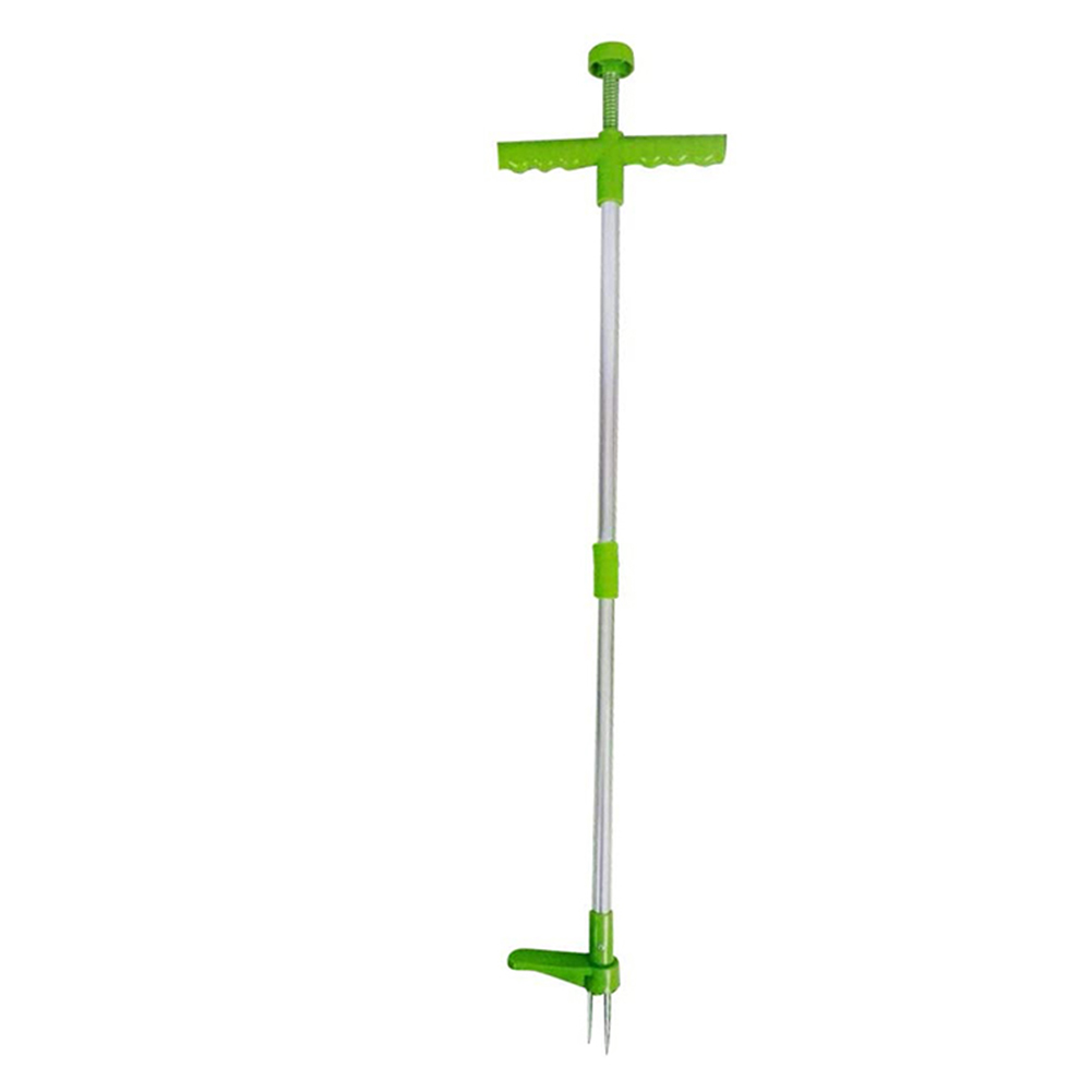 Easily Carrying Remover Grass  - đánh giá và giá Gardening Tools To Remove Grass