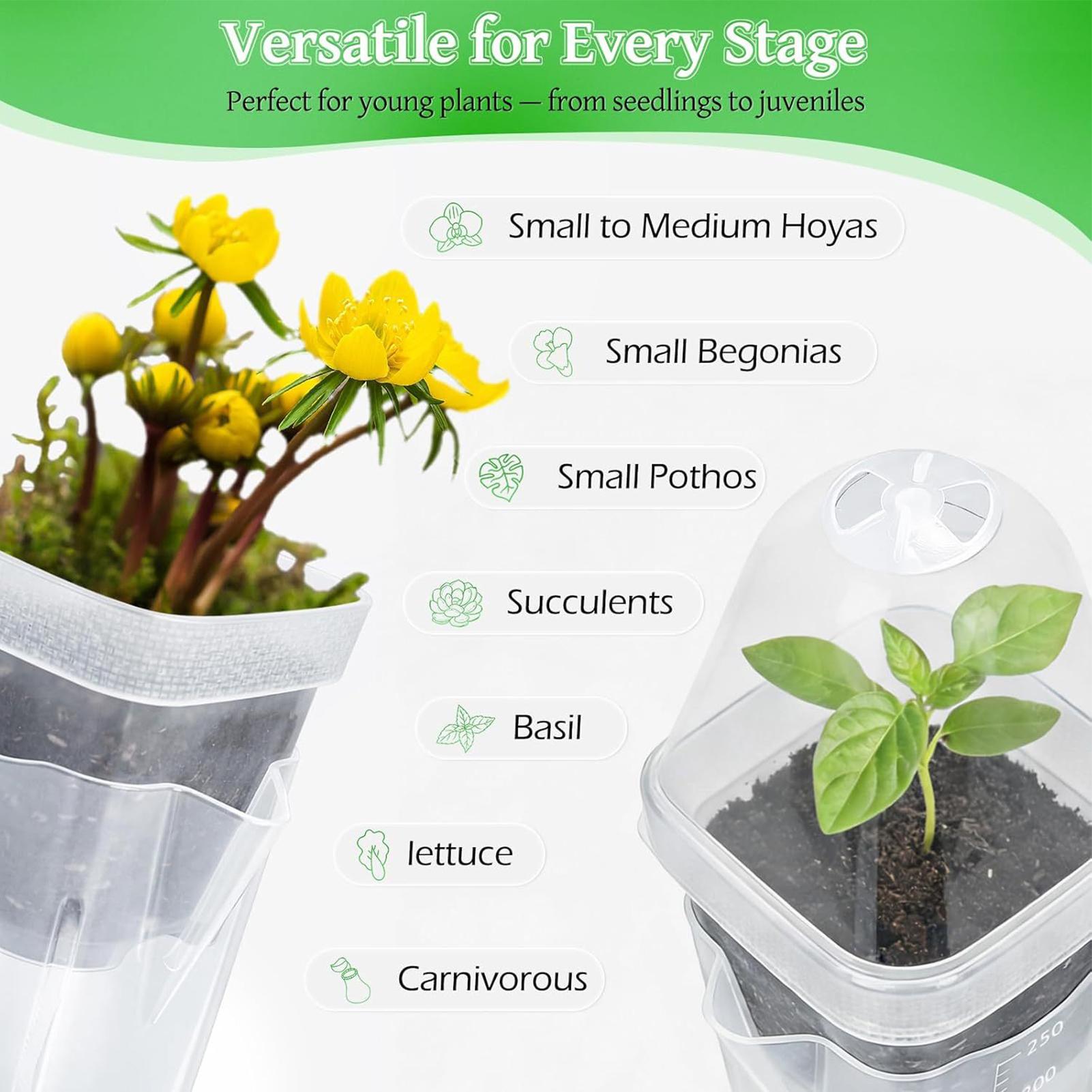 Self Watering Pots 12Pcs Seed  - đánh giá và giá Propagation Tray Dome