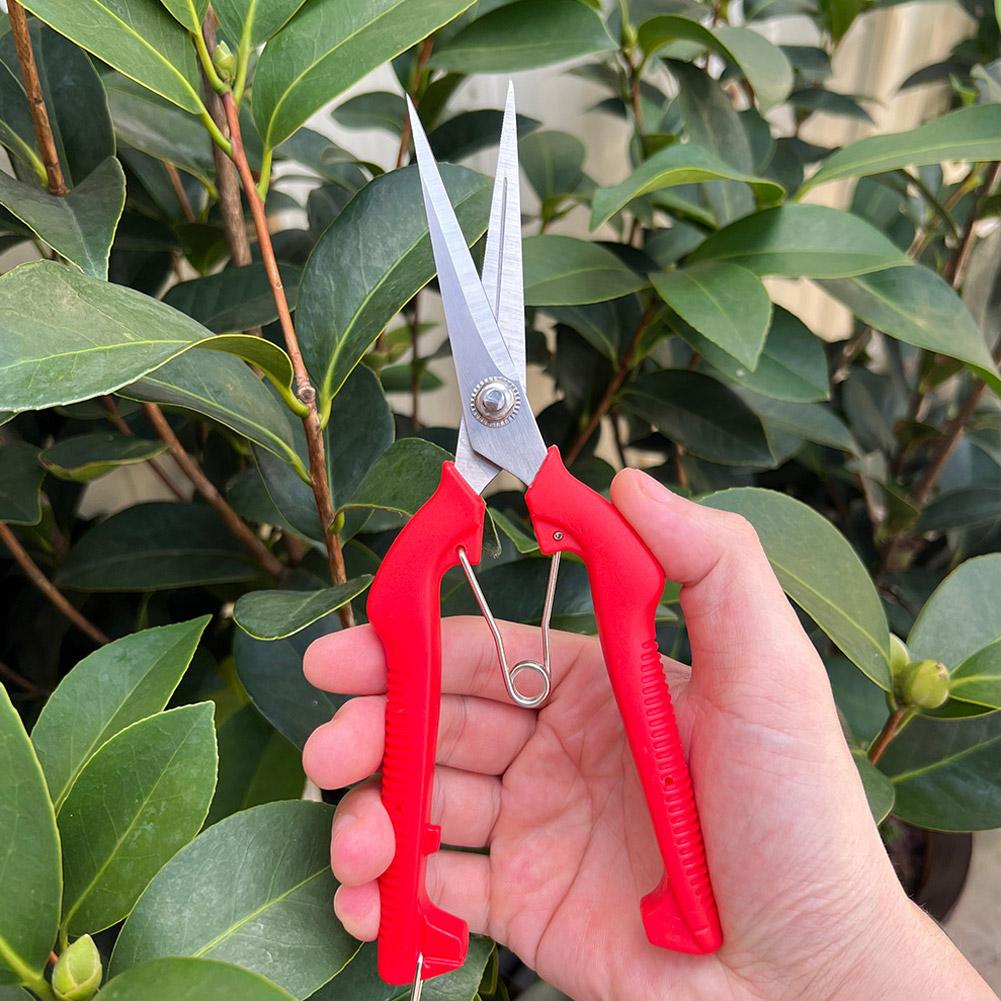 Pro Garden Pruning Shears Leng - đánh giá và giá Gardening Tools Wholesale
