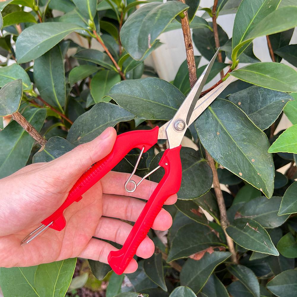 Pro Garden Pruning Shears Leng - đánh giá và giá Gardening Tools Wholesale