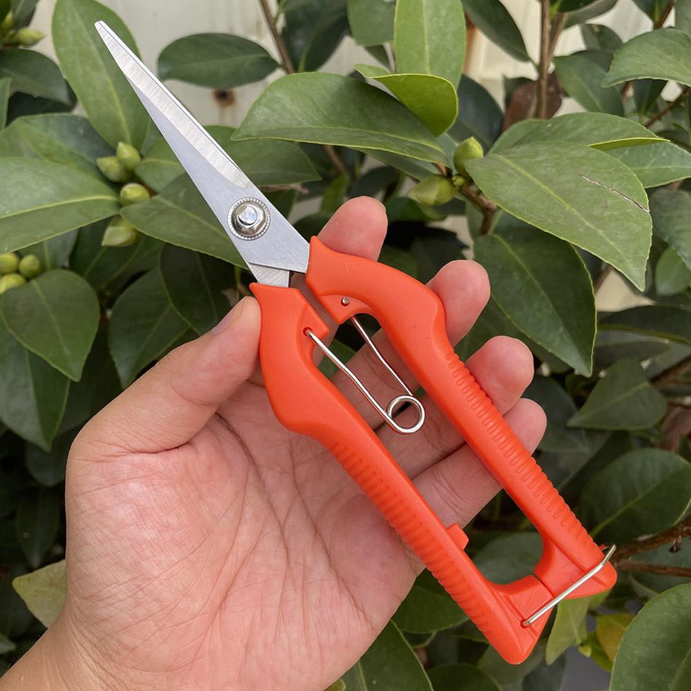 Pro Garden Pruning Shears Leng - đánh giá và giá Gardening Tools Wholesale