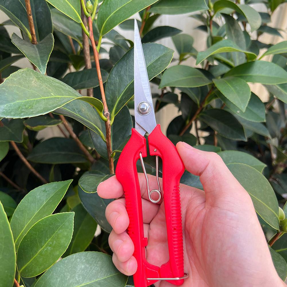 Pro Garden Pruning Shears Leng - đánh giá và giá Gardening Tools Wholesale
