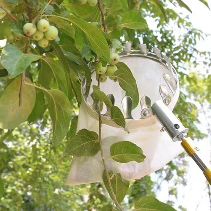 Professional Berry Picker Tool - đánh giá và giá Gardening Tools Basket