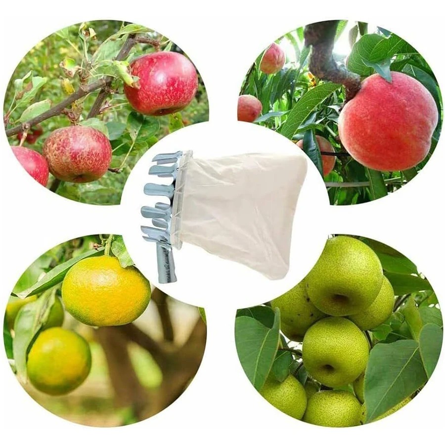 Professional Berry Picker Tool - đánh giá và giá Gardening Tools Basket