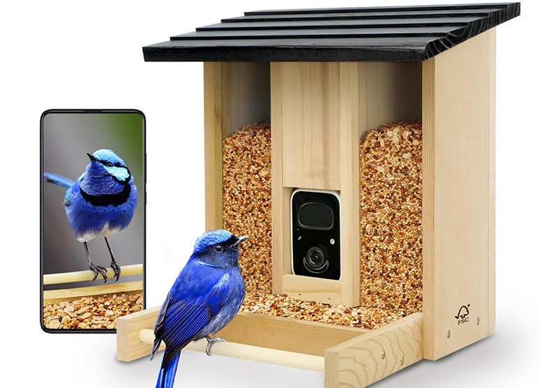 Bamboo wood intelligent bird f - đánh giá và giá Gardening Tools Definition