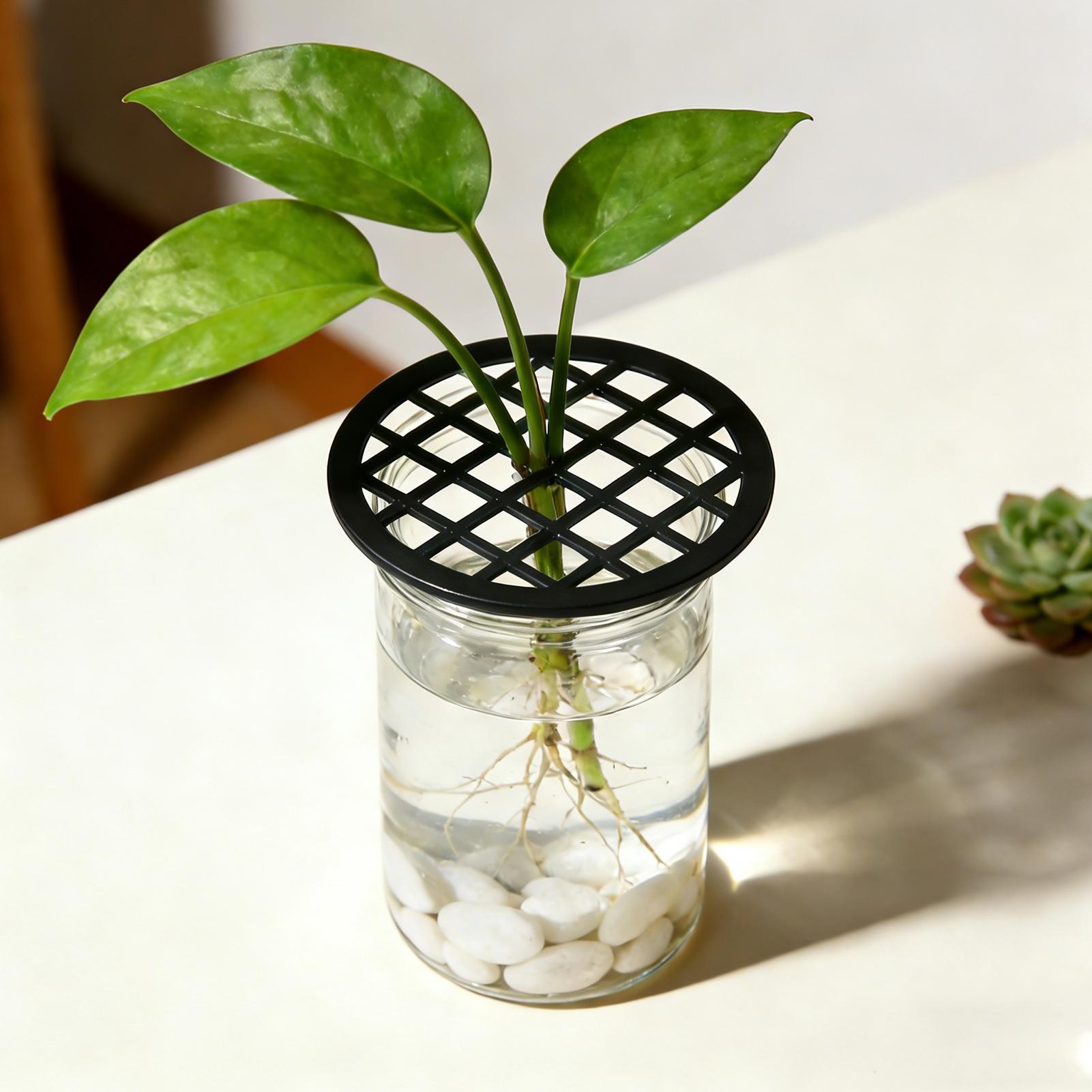 Plant Branch Support 4Pcs Gree - đánh giá và giá Propagation Tray Dome