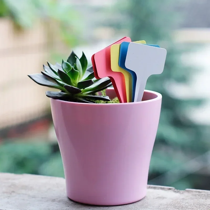 20 Pcs Plastic Waterproof Plan - đánh giá và giá Gardening Tools Names