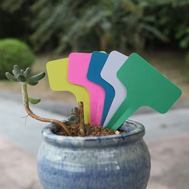 20 Pcs Plastic Waterproof Plan - đánh giá và giá Gardening Tools Names