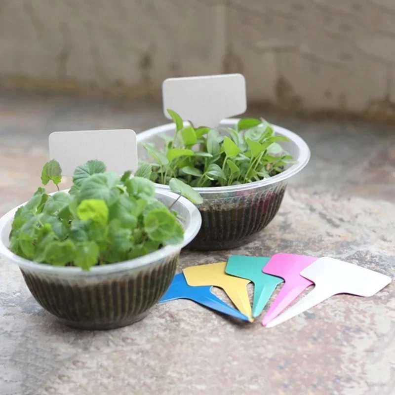 20 Pcs Plastic Waterproof Plan - đánh giá và giá Gardening Tools Names