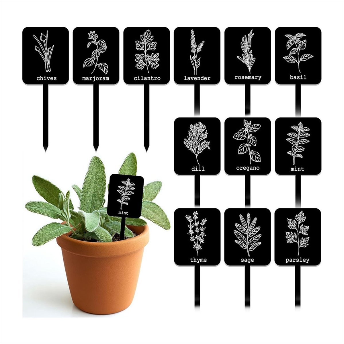AA14 24Pcs Acrylic Plant Label - đánh giá và giá Gardening Tools Names
